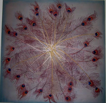 PeacockFeathers
